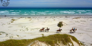 Gansbaai & Pearly Beach Horse Trails