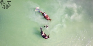 Gansbaai & Pearly Beach Horse Trails