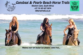 Tripadvisor Travellersâ€™ Choice Award 