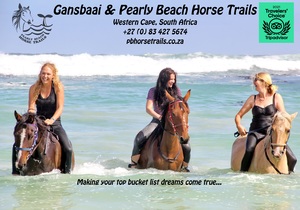 Tripadvisor Travellersâ€™ Choice Award 