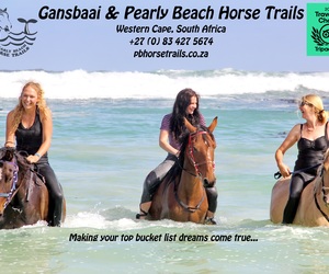 Tripadvisor Travellersâ€™ Choice Award 