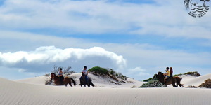 Gansbaai & Pearly Beach Horse Trails
