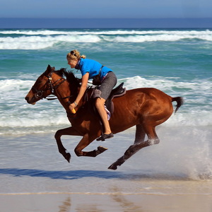 Gansbaai & Pearly Beach Horse Trails