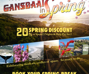 Saxon Lodge Spring Special