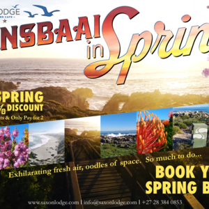 Spring_Break_Special_1200x855_1630410422