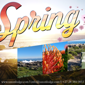 Spring_Break_Special_1920x650_1630410421