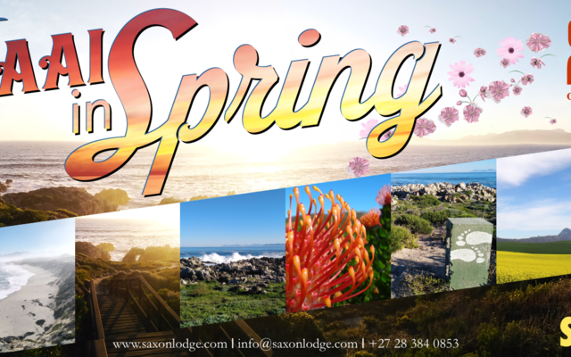 Spring_Break_Special_1920x650_1630410421