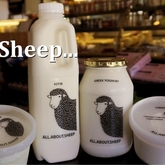 Our local sheep products don't follow the flock! - Dal-Italia Delicatessen - Xplorioâ„¢ Hermanus