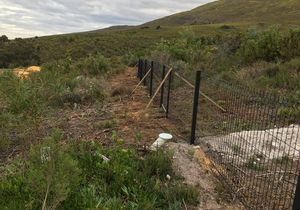 Nature Blended Fence Installation atÂ Phillipskop Mountain Reserve
