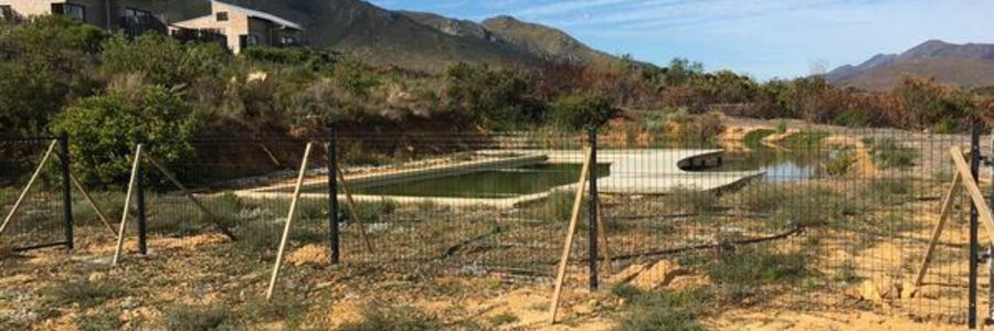 241252638_4326916407387991_4852415343263538000_n_1630601792