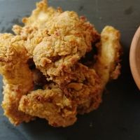 Southern Fried 100% Chicken Breast Strips - Xplorioâ„¢ Stanford