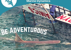 Next Marine Dynamics Shark Cage Diving Trip: 7 September 2021