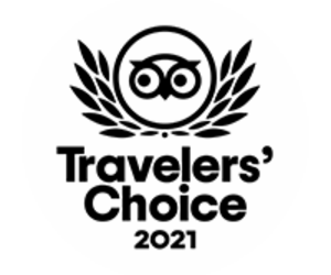 Travellers Choice Award