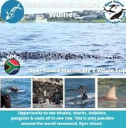 Next Dyer Island Marine Big 5 Tour: 14 September 2021