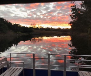 Cruise on the Lady Stanford River Cruise this Spring!