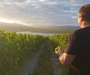 Lomond Cellar Club Welcome Virtual Tasting (7 October 2021)