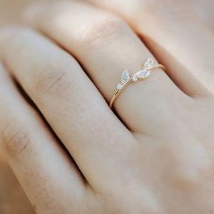 242036686_374042251049652_2523779371985528359_n_1631784088