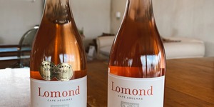 241349433_3001984663386163_7189110776707134470_n_1631870200