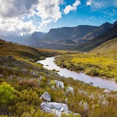 Kogelberg Nature Reserve - Cape Nature - Xplorioâ„¢ Hermanus
