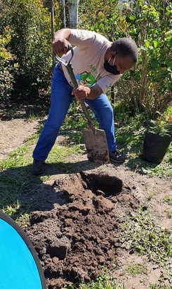 Planting_Trees_1632132463