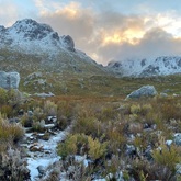 Snowy Mountain - Cape Nature - Xplorioâ„¢ Hermanus
