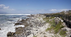 Outdoor Activities in Bettyâ€™s Bay