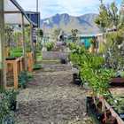 Nursery in Stanford - Riverland Garden Centre - Xplorioâ„¢ Stanford