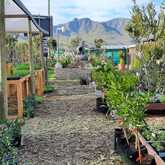 Nursery in Stanford - Riverland Garden Centre - Xplorioâ„¢ Stanford