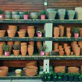 Pots - Riverland Garden Centre - Xplorioâ„¢ Stanford