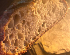 24,Â 25Â &Â 26Â September 2021: Baardskeerdersbos Art Route