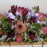 Nashca Funerals Gansbaai - Xplorioâ„¢ Gansbaai 