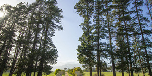 kleinmond_accommodation_njr_cottage_outside_view_1537944520_1632382020