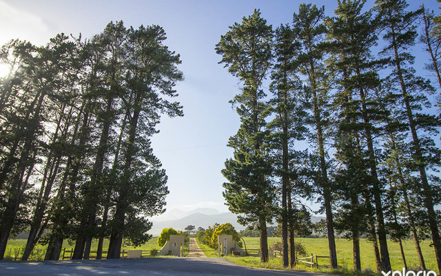 kleinmond_accommodation_njr_cottage_outside_view_1537944520_1632382020