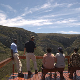 Vulture Viewing at De Hoop - De Hoop Collection - Xplorioâ„¢ Bredasdorp