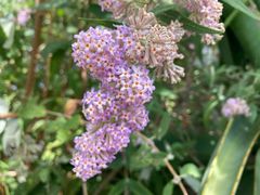 Lente byÂ Beloftebos Farm Cottages