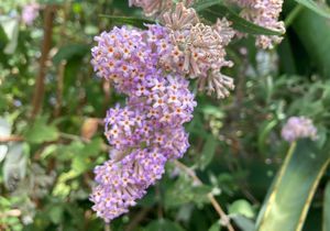 Lente byÂ Beloftebos Farm Cottages