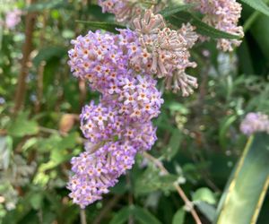 Lente byÂ Beloftebos Farm Cottages