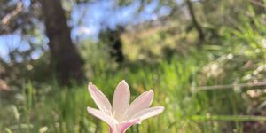 WhatsApp_Image_2021_09_28_at_06.39.45_1632808697