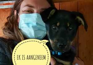 Faye Graham Adopted Riley