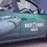 Branded Vehicle - White Shark Projects - Xplorioâ„¢ Gansbaai
