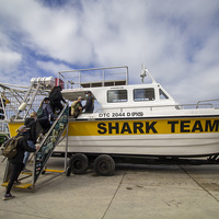Getting Onboard - White Shark Projects - Xplorioâ„¢ Gansbaai