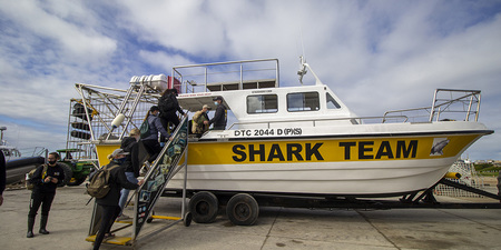 gansbaai_things_to_do_white_shark_projects_education_and_beach_clean_ups_1632987761