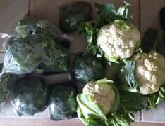 Farm Fresh Cauliflower, Broccoli and Broccoli Florets