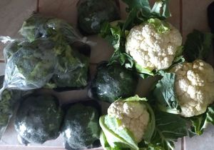 Farm Fresh Cauliflower, Broccoli and Broccoli Florets