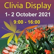 1 - 2 October 2021: CliviaÂ Display