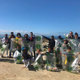 Beach Clean-up - White Shark Projects - Xplorioâ„¢ Gansbaai