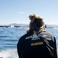 Volunteer - White Shark Projects - Xplorioâ„¢ Gansbaai