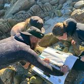 Educational Lessons - White Shark Projects - Xplorioâ„¢ Gansbaai