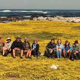 Flowers at Quoin Point - Beachcomber's Perlemoen Trail - Xplorioâ„¢ Gansbaai