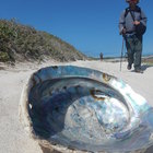 Perlemoen Shell - Beachcomber's Perlemoen Trail - Xplorioâ„¢ Gansbaai